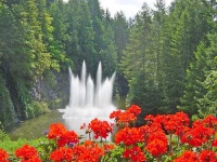 image of fountain