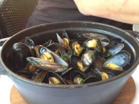 image of mussels #20