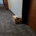 image of package
