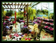 image of greenhouse