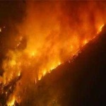 image of forest_fire #27