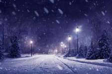 image of snowy