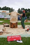 image of chain_saw