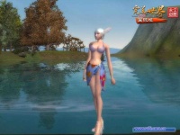 image of bikini