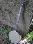 image of banjo