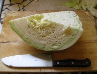 image of head_cabbage
