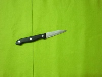 image of kitchen_knife #17