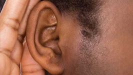 image of ear