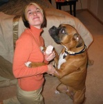 image of boxer