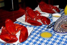 image of american_lobster #8