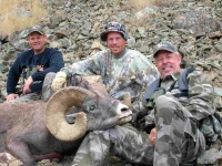 image of bighorn