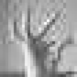 image of sign_language