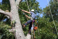 image of chain_saw