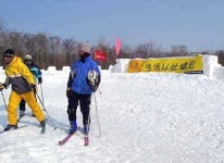 image of ski