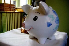 image of piggy_bank #4