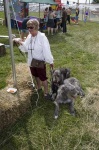 image of irish_wolfhound