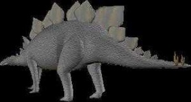 image of stegosaurus