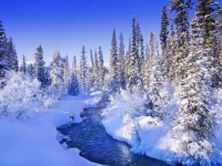image of snowy
