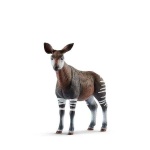 image of animal