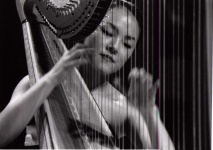 image of harp