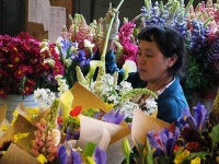 image of indoor