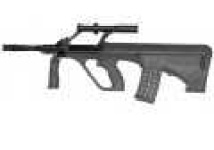 image of gun