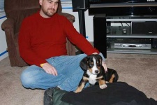 image of entlebucher