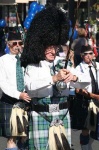 image of bearskin