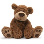 image of teddy_bear