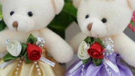 image of teddy_bear