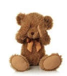 image of teddy_bear