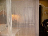 image of mosquito_net