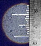 image of rule
