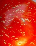 image of texture