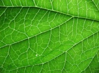 image of texture