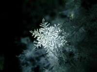 image of snowflake