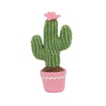 image of cactus