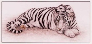 image of tiger_cat #15