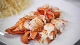 image of lobster