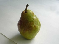 image of pear #12