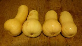 image of butternut_squash #20