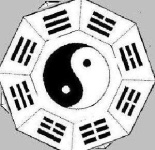 image of yin_yang