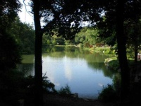 image of pond