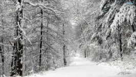 image of snowy