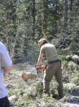 image of chain_saw