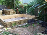 image of pond