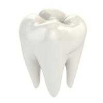 image of Tooth