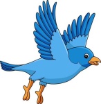 image of bluebird
