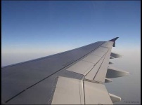image of wing