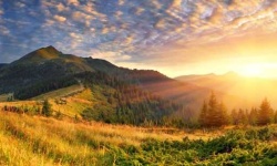 image of sunny